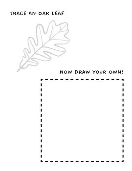 Image result for Oak Tree to Trace