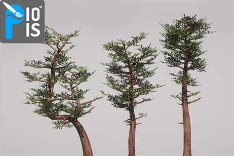 Bildergebnis für Unity Stylised Tree