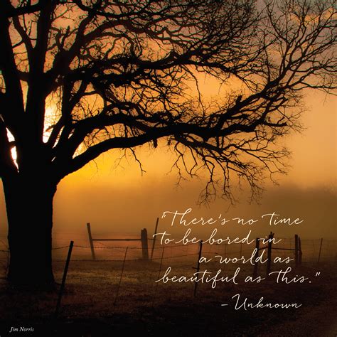 Afbeeldingsresultaten voor How to Write Down Quotes