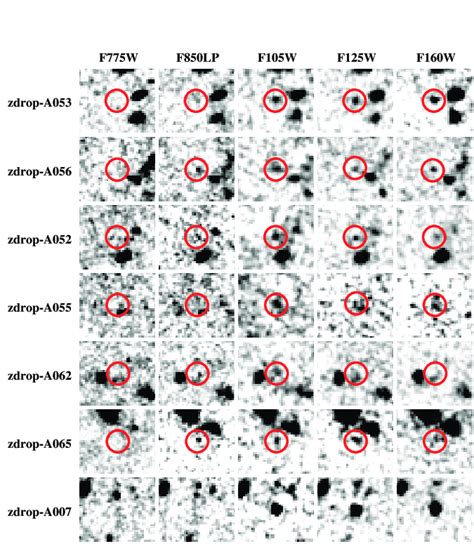 Afbeeldingsresultaten voor Transient Object