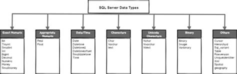 Image result for SQL Server Data Types for Same Year