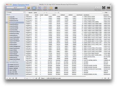 Toradh íomhá ar Accessing MySQL Database From Web Page
