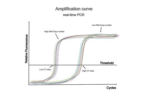 Image result for qPCR Method