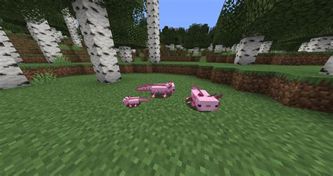 Afbeeldingsresultaten voor Rarest Axolotl Minecraft