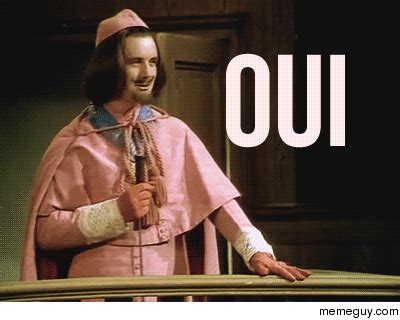 Image result for Silly Frenchman Monty Python GIF