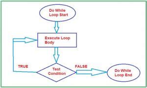 Image result for C Do While Loop Flow Chart