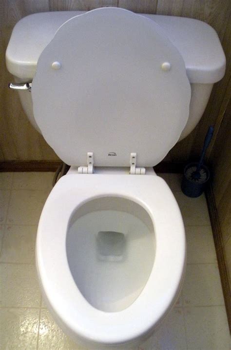 Image result for Toilet Kind