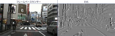 EVS Sudy に対する画像結果