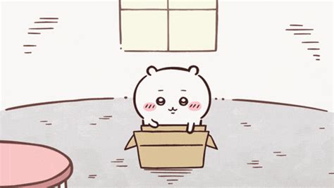 Toradh íomhá ar Haul On Back GIF