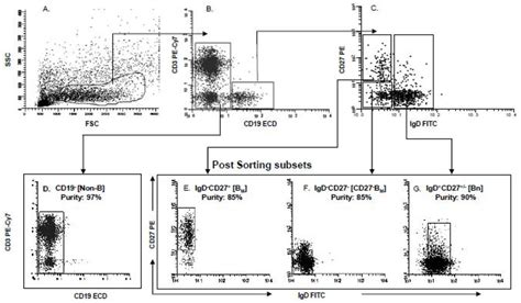 Image result for Sequential Gating Flow Cytometry