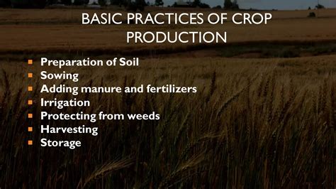 Image result for Method of Crop Production