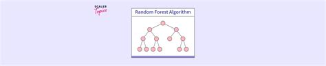 Image result for Random Forest Ai Algorithm Code