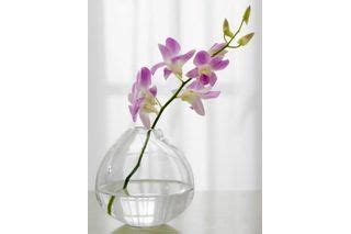 Image result for Vase with Fake Water