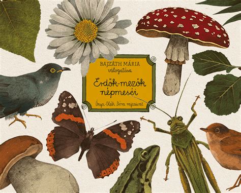 Image result for Screen Menu Design