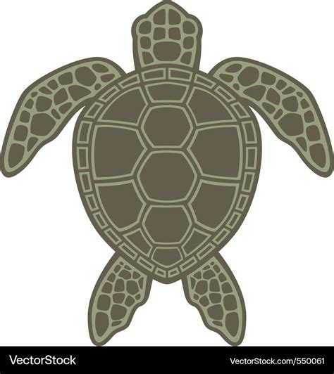 Image result for Sea Turtle Shell Vector