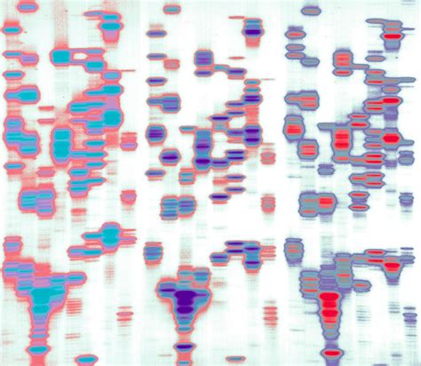 Image result for Matplotlib Best Looking Plots