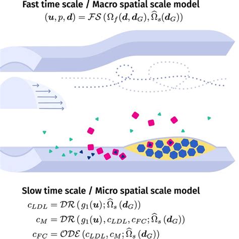 Afbeeldingsresultaten voor In Mathematical Schematic Model of Algorithm