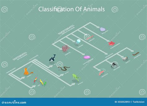 Afbeeldingsresultaten voor Classification Sytem