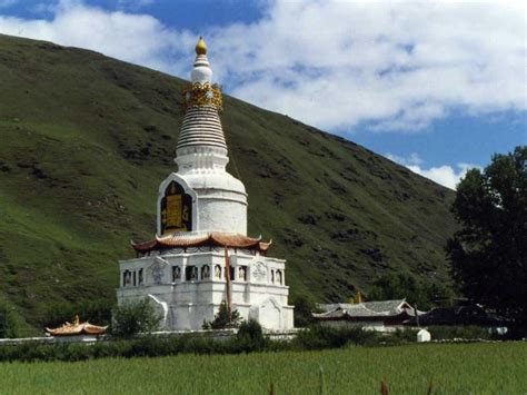 Image result for How to Code Python to Make Chorten