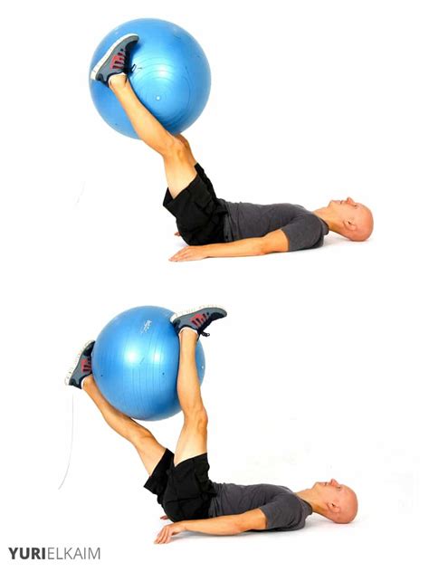Image result for Exercise Ball Core Exercises