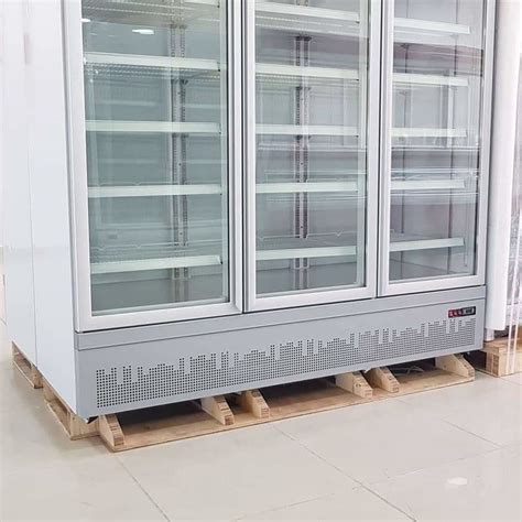 Image result for 3 Door Display Freezer