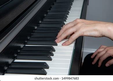 Image result for Keyboard Hand Shape