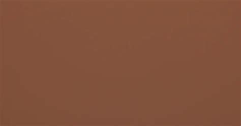 Image result for Brown Mouse Spider