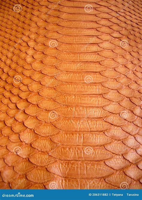 Toradh íomhá ar Red Python Skin