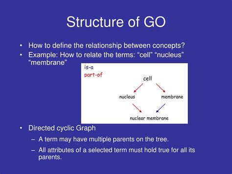 Image result for Structure of Go Program