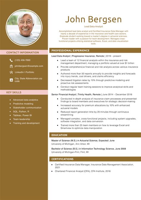 Image result for Resume Example for Data Analyst