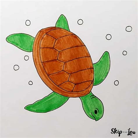 Image result for Turtle Draw