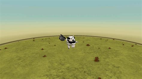 Image result for Splinter Warrior Cats