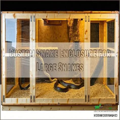 Image result for How to Build a Snake Cage Plans