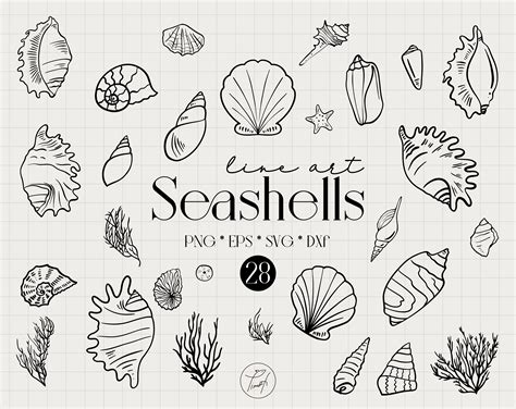 Afbeeldingsresultaten voor Ocean Shell Line Drawing