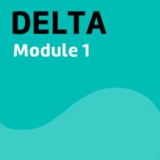 Image result for Delta Module One Example Done Cambirdge
