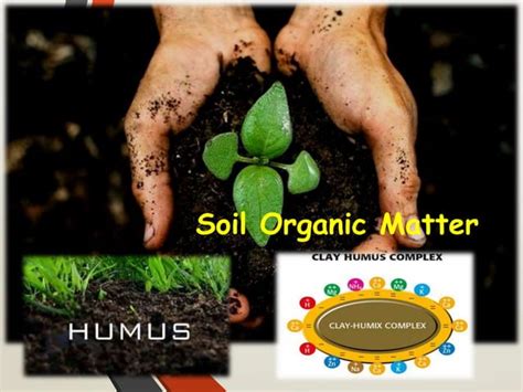 Soil organic matter and Humic substances | PPTX