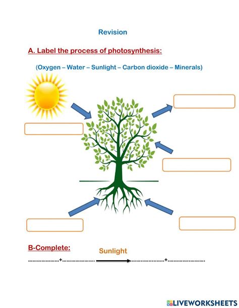 Image result for KS3 Science Revision Worksheets