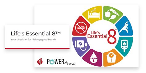 Image result for Essential Grammar in Use Third Edition