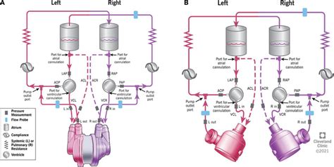 Testing Continuasly Loop に対する画像結果