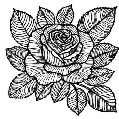 Image result for Hard Rose Coloring Pages