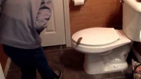 Image result for Guy Need Poop