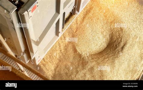 Image result for Unloading Bag Grain