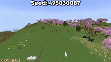 Image result for Minecraft Java Large Biome Seed