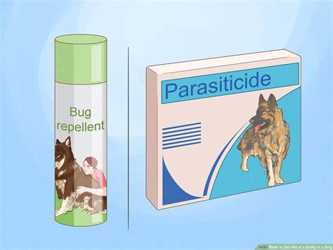 How to Get Bot Tag に対する画像結果