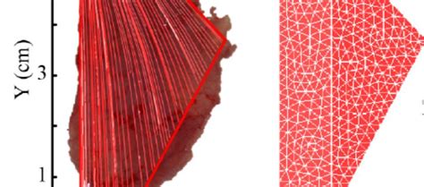 Image result for Finite-Element Modeling Concept