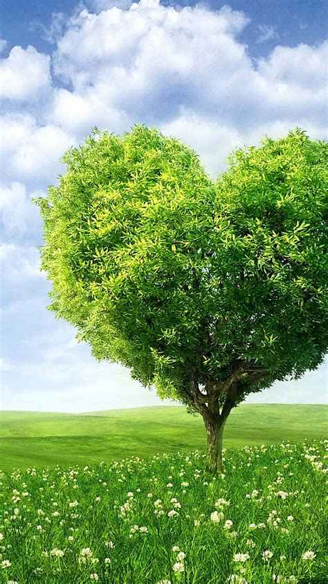 Image result for Tree Wallpaper Android