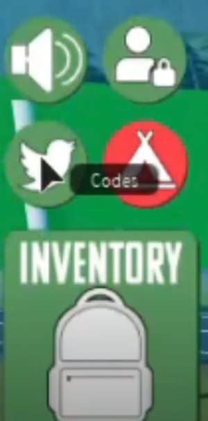 Image result for Backpacking Codes 2021