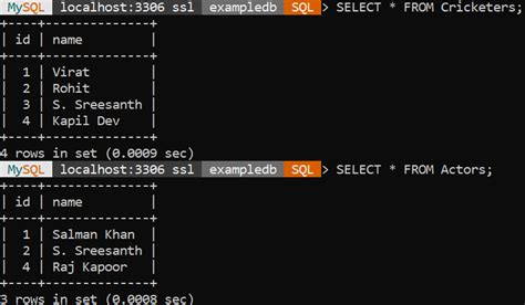 SQL Set a Value に対する画像結果