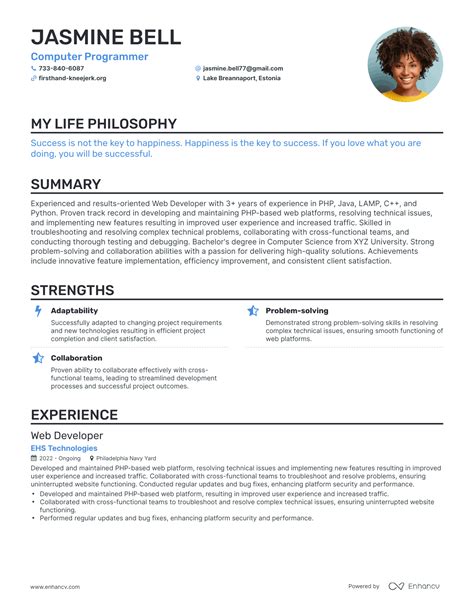 Image result for Computer Programmer Resume