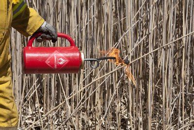 Image result for Controlled Heath Fire